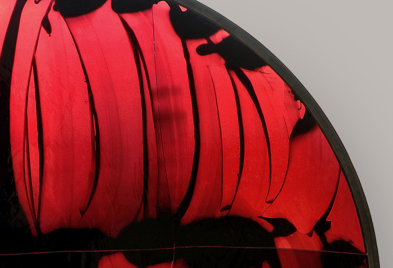 RED VEIL ROSE, 2013