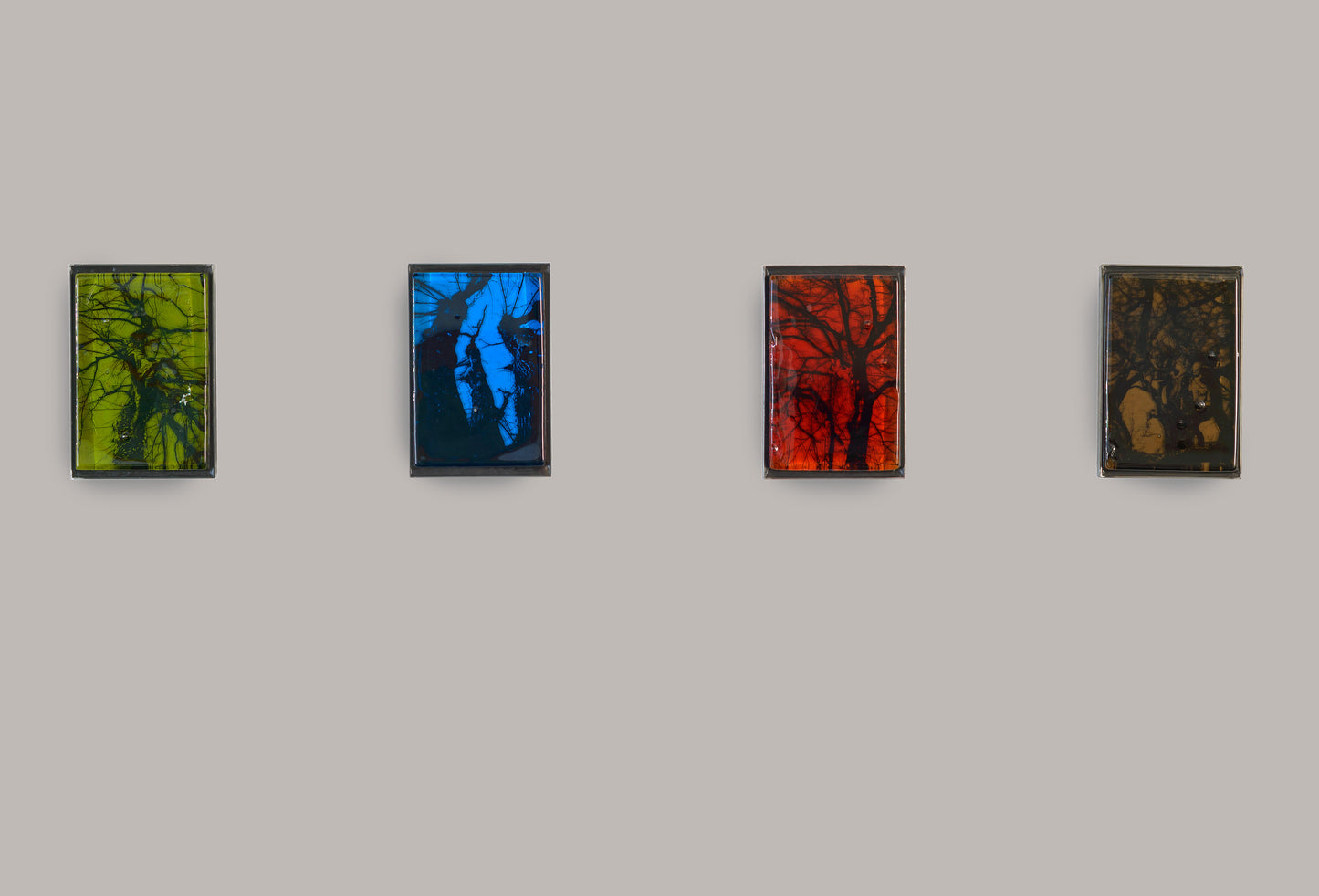 BAUMSCHATTEN, 2013
